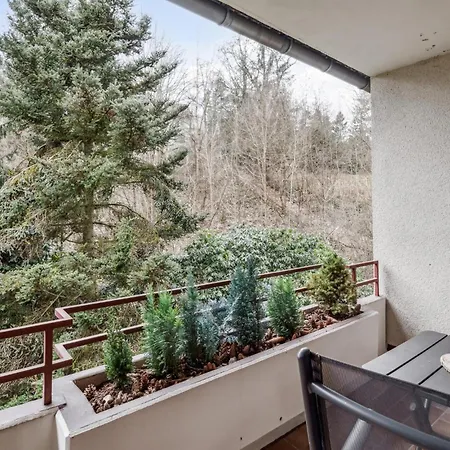 Ohase - Apartament Bad Sachsa